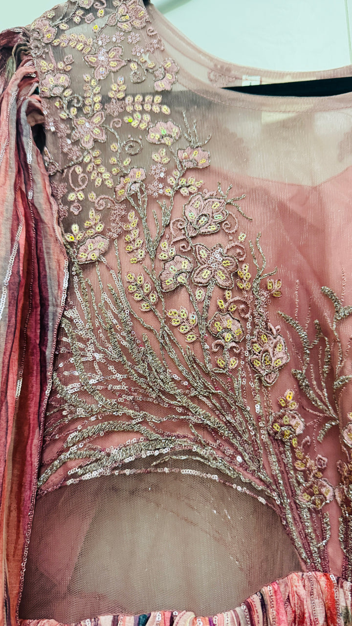 Shades Of Pink Wedding Special Hand Embroidered Gown with Dramactic Sleeves