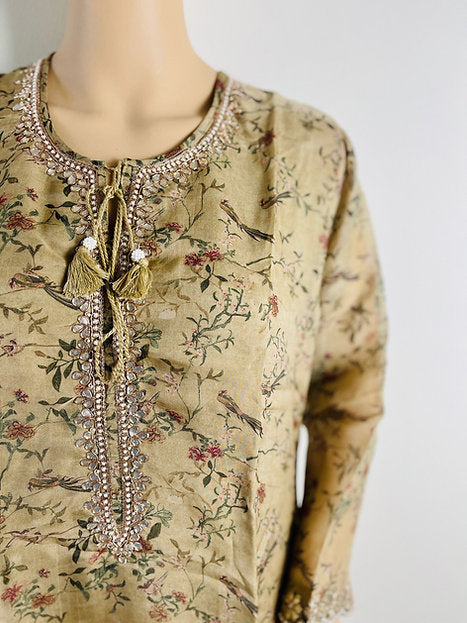 Pure Organza Kurti
